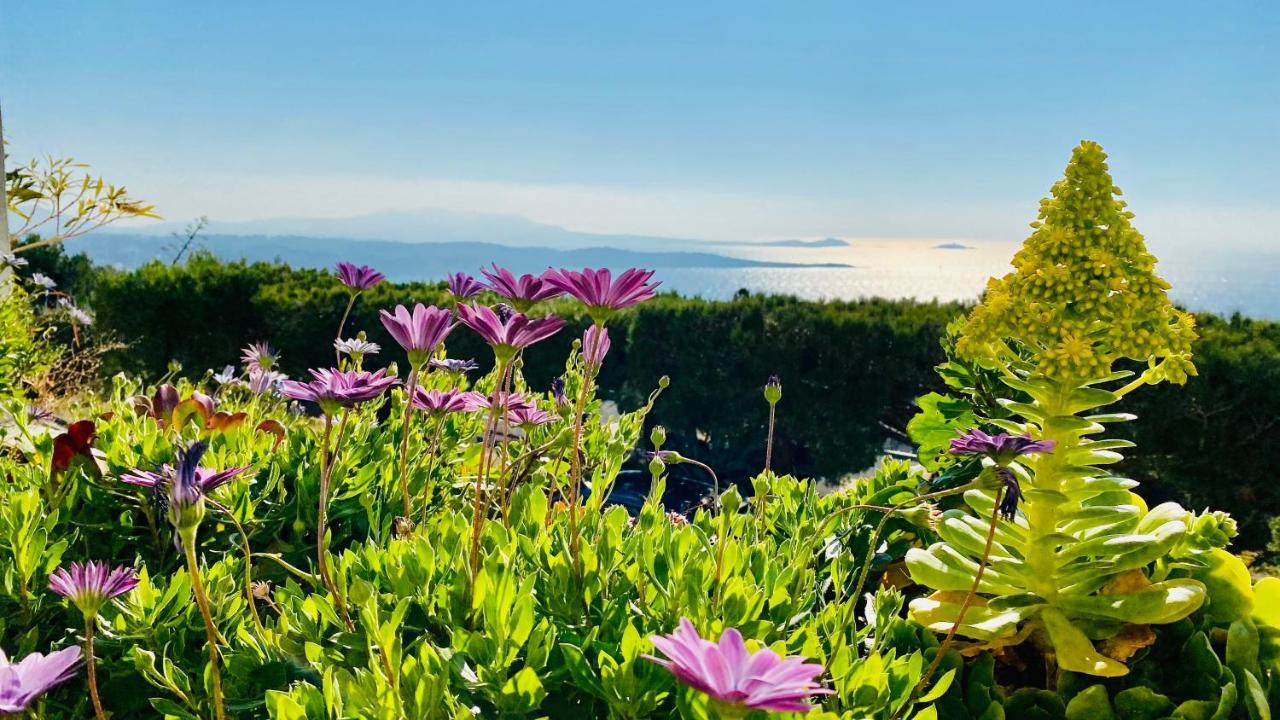 Vue Mer Panoramique Et Piscine Bandol Eksteriør bilde