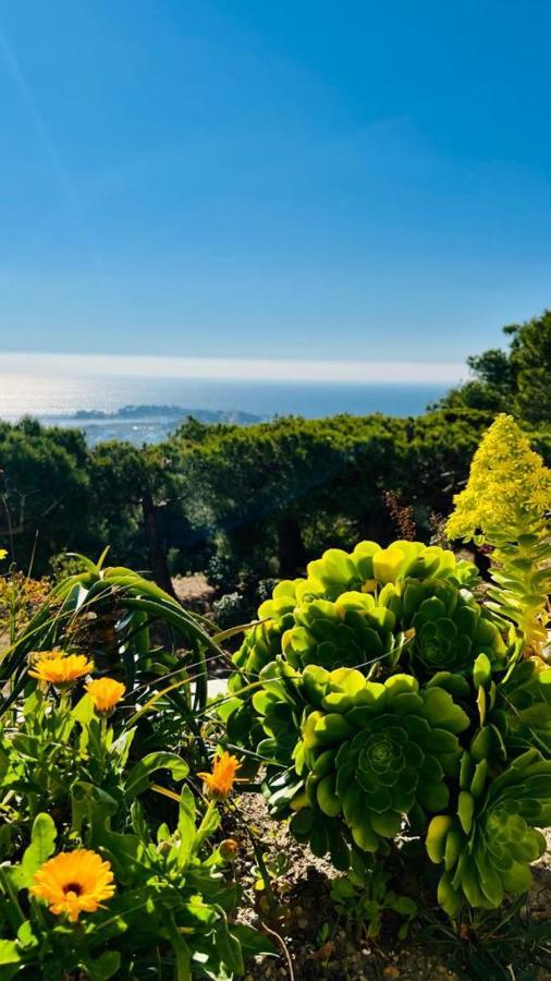 Vue Mer Panoramique Et Piscine Bandol Eksteriør bilde